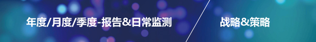 定制行業市場數據分析研究監測系統
