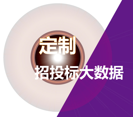 定制招投標項目大數據
