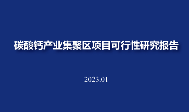 碳酸鈣產業集聚區項目可行性研究報告