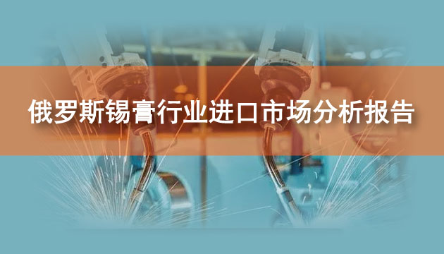 俄羅斯錫膏行業進口市場分析報告(2024)